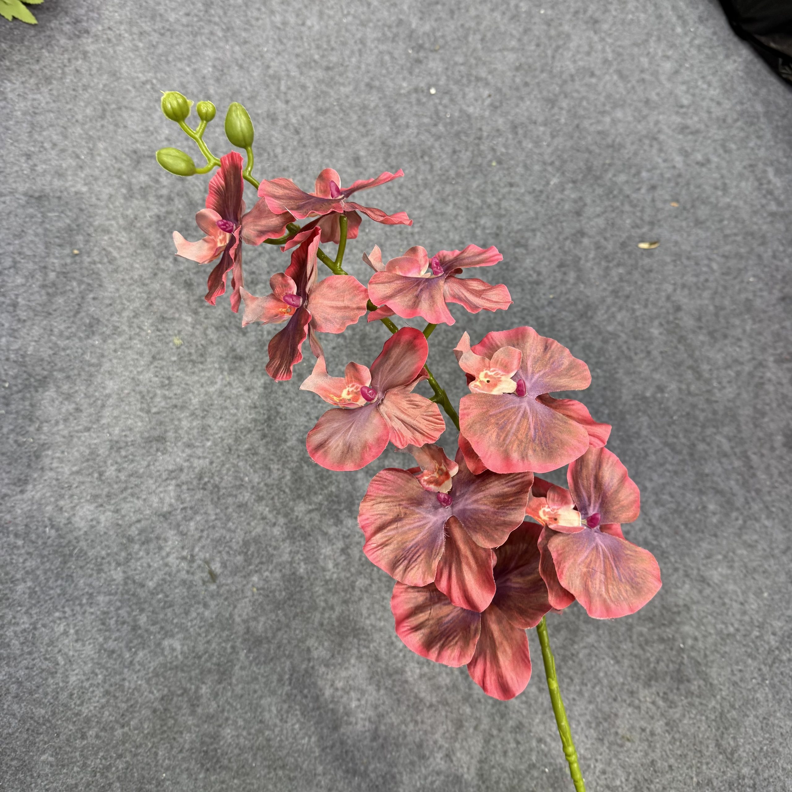 silk artificial Phalaenopsis stem